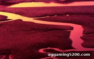 彩票冷热号与走势分析深度指南：糖果派对试玩带你理性探索概率世界