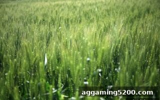 糖果派对试玩带你玩转牛牛游戏：临场应变能力制胜秘诀