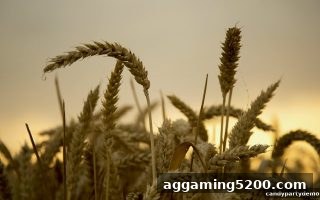 糖果派对试玩：轮盘签到福利全解析与支付宝充值攻略