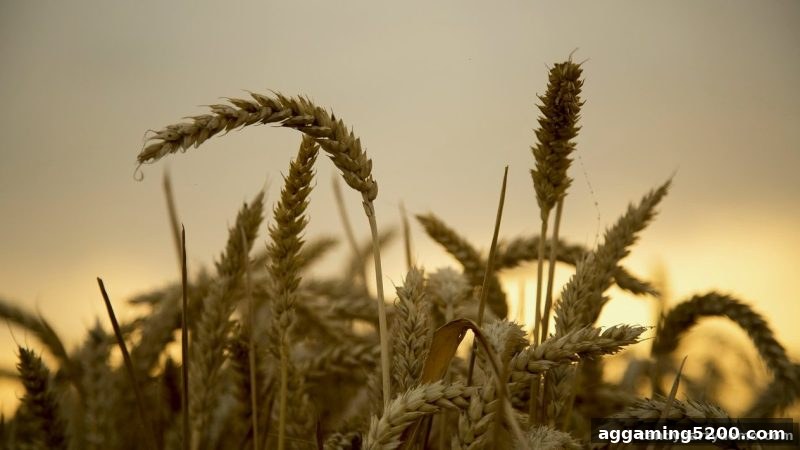 糖果派对试玩：轮盘签到福利全解析与支付宝充值攻略