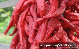 糖果派对试玩解读JILI电子奖励政策：亚冠直播互动玩转不计输赢福利