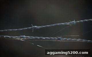 糖果派对试玩提醒：Dota2赛事预测中如何筑牢自我保护防线