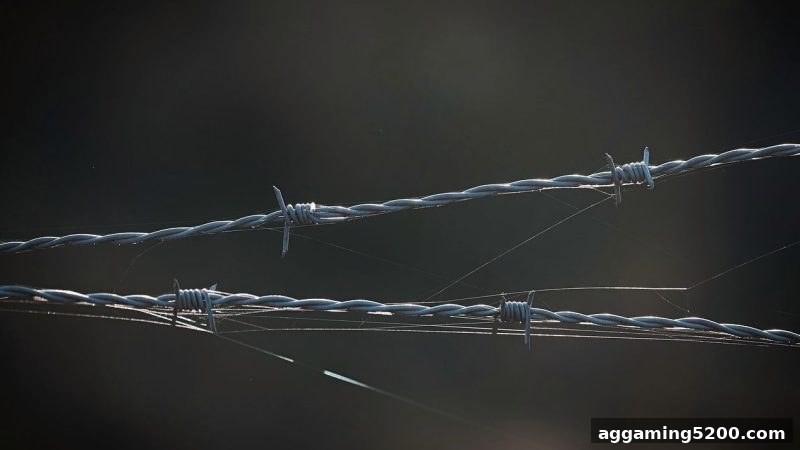 糖果派对试玩提醒：Dota2赛事预测中如何筑牢自我保护防线