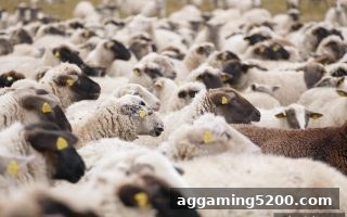 糖果派对试玩：英超赛季动态与二十一点策略的跨界娱乐新体验